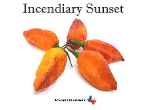 Incendiary Sunset