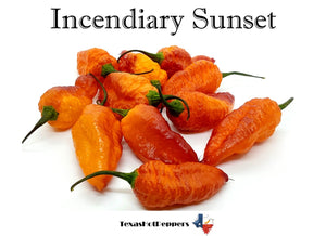 Incendiary Sunset