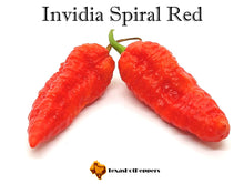 Load image into Gallery viewer, Invidia Spiral Red