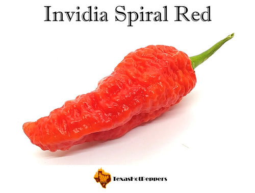 Invidia Spiral Red