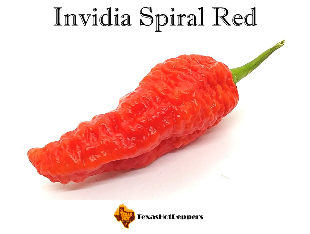 Invidia Spiral Red
