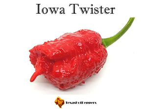 Iowa Twister