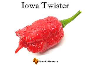 Iowa Twister