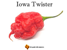 Load image into Gallery viewer, Iowa Twister