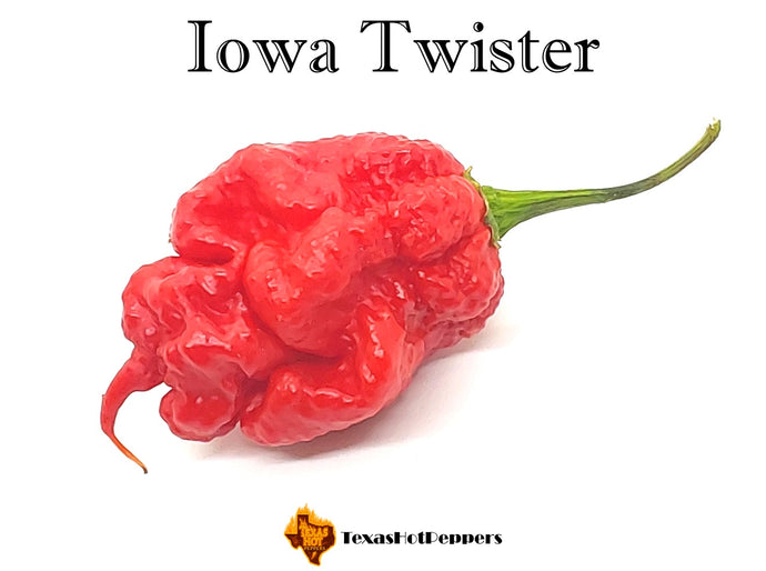 Iowa Twister