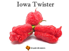 Load image into Gallery viewer, Iowa Twister
