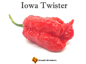 Iowa Twister