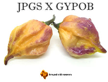 Load image into Gallery viewer, JPGS X GYPOB