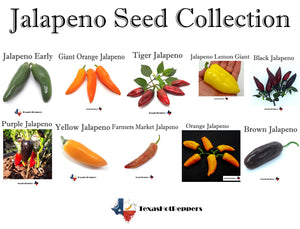 Jalapeno Variety Collection - 10 Different Jalapeno types + 5 Bonus Packs!