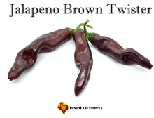 Load image into Gallery viewer, Jalapeno Brown Twister
