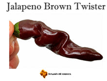 Load image into Gallery viewer, Jalapeno Brown Twister