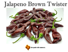 Load image into Gallery viewer, Jalapeno Brown Twister