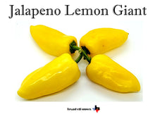 Load image into Gallery viewer, Jalapeno Lemon Giant