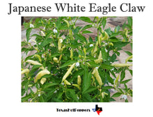 Load image into Gallery viewer, Japanese White Eagle Claw