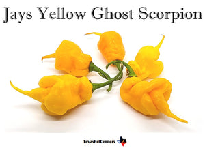 Jays Yellow Ghost Scorpion