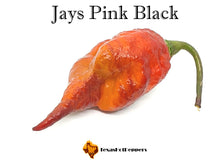 Load image into Gallery viewer, Jays Pink Black