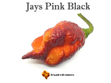 Load image into Gallery viewer, Jays Pink Black