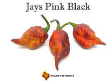 Load image into Gallery viewer, Jays Pink Black