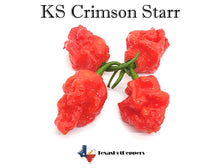 Load image into Gallery viewer, KS Crimson Starr