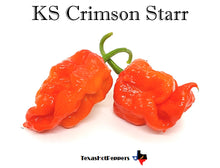 Load image into Gallery viewer, KS Crimson Starr