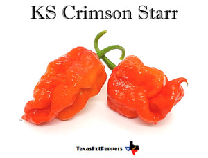 KS Crimson Starr