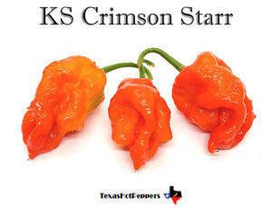 KS Crimson Starr