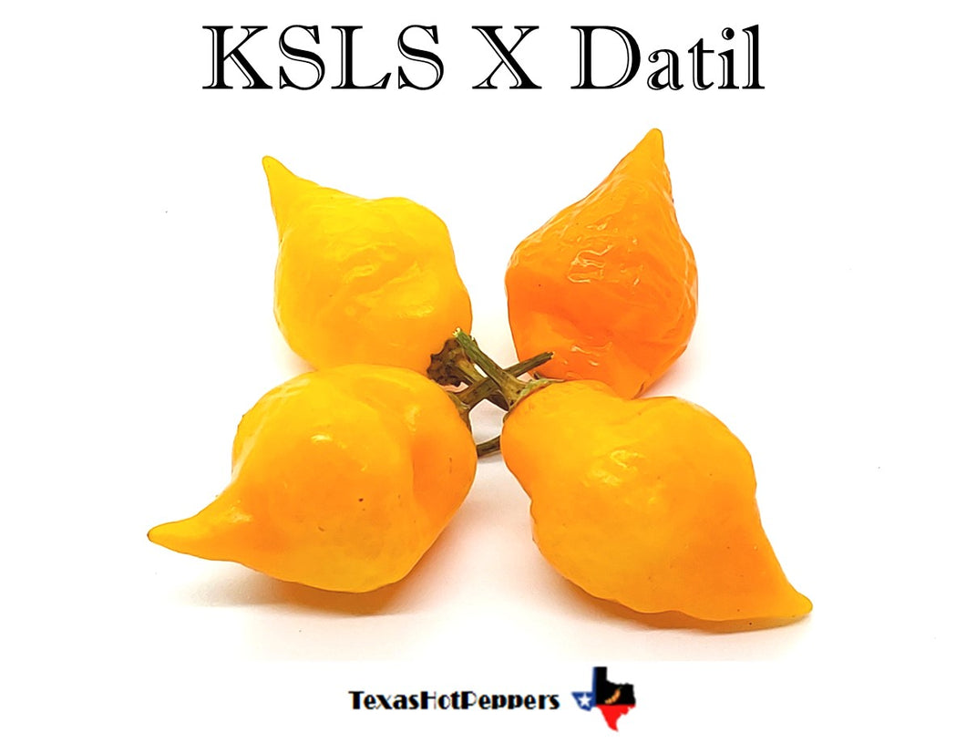 KS Lemon Starrburst X Datil