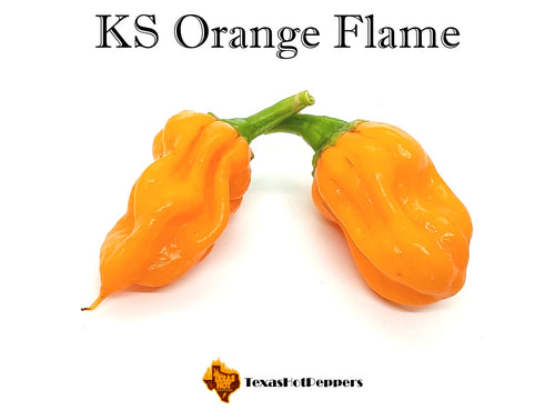 KS Orange Flame