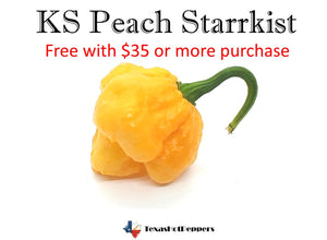 KS Peach Starrkist