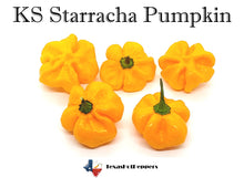 Load image into Gallery viewer, KS Starracha Pumpkin