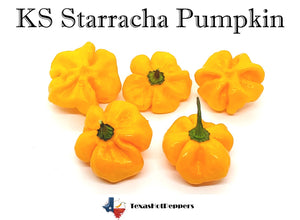 KS Starracha Pumpkin