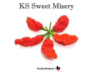 KS Sweet Misery