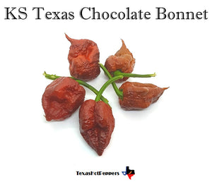 KS Texas Chocolate Bonnet