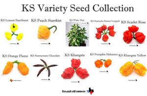 1 KS Variety Seed Collection - 10 Different Varieties – Texas Hot