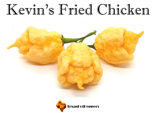 Kevin's Fried Chicken