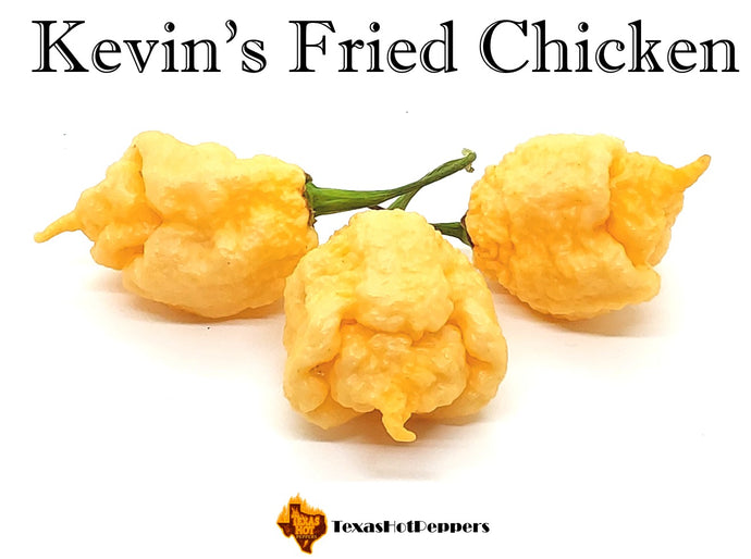Kevin's Fried Chicken