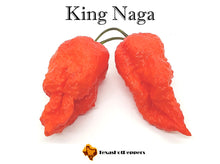 Load image into Gallery viewer, King Naga