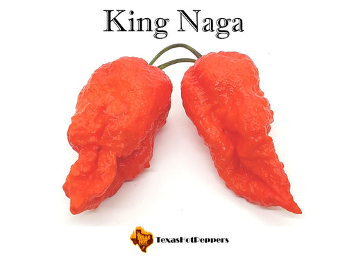 King Naga