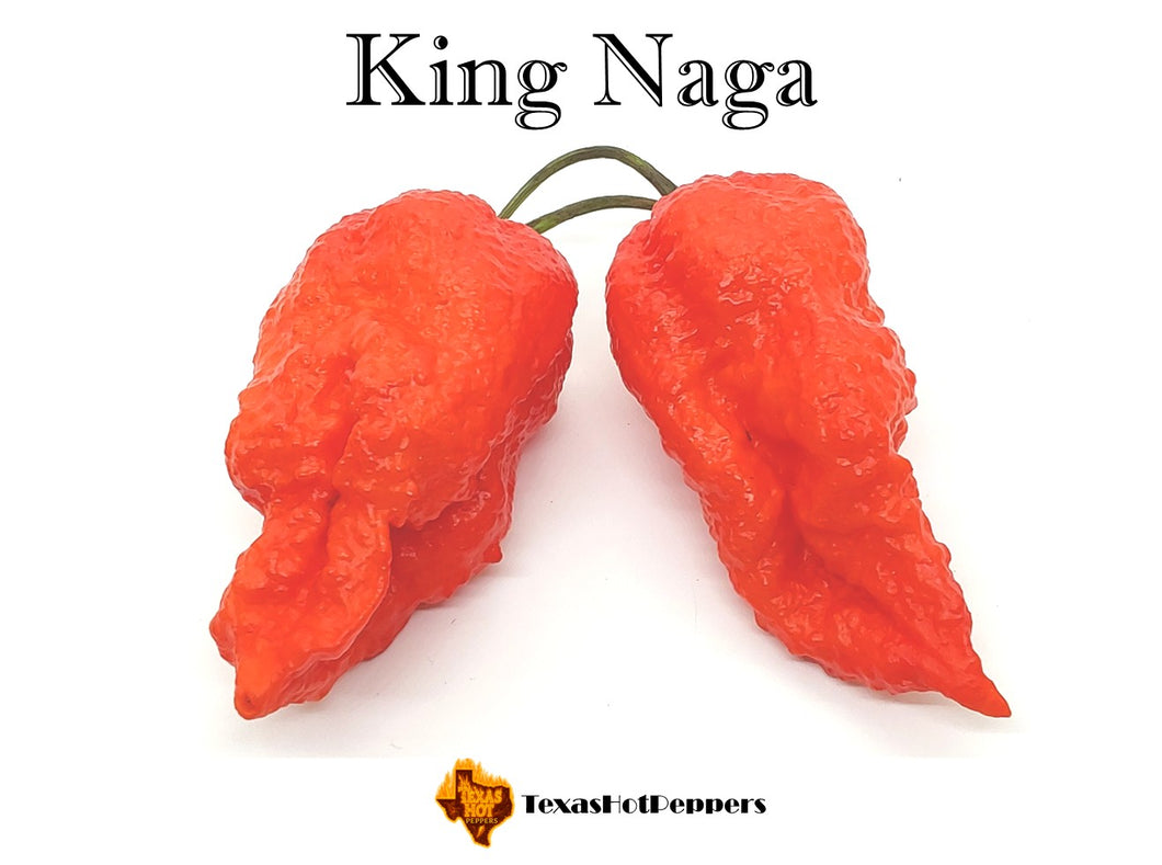 King Naga