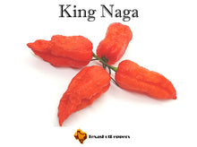 Load image into Gallery viewer, King Naga