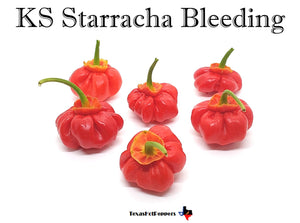 KS Starracha Bleeding