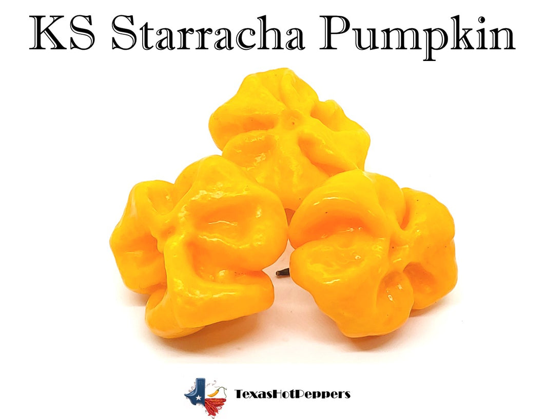 KS Starracha Pumpkin