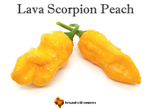 Lava Scorpion Peach