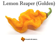 Load image into Gallery viewer, Lemon Reaper (Golden)