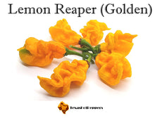 Load image into Gallery viewer, Lemon Reaper (Golden)