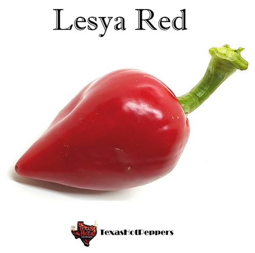 Lesya Red