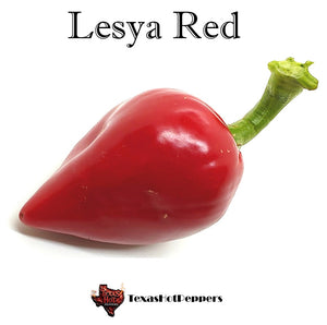 Lesya Red