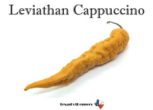 Leviathan Cappuccino