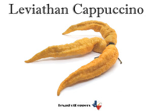 Leviathan Cappuccino