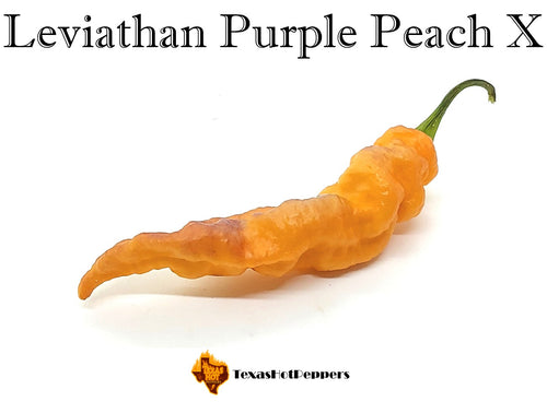 Leviathan Purple Peach X